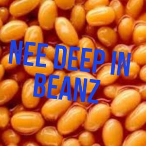 Needeepinbeanz