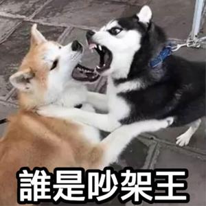 誰是吵架王