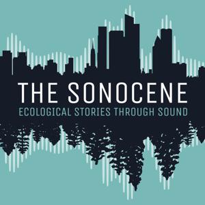 THE SONOCENE