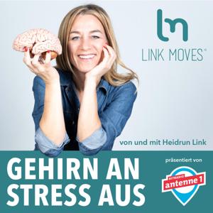 Gehirn an Stress aus