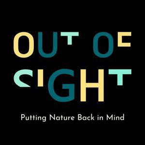 Out of Sight Stories