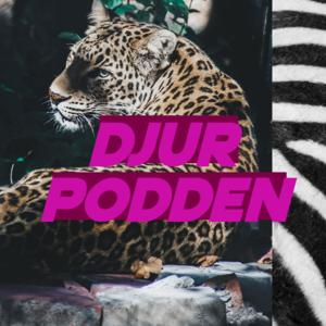 Djurpodden