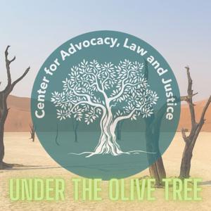 Under the Olive Tree