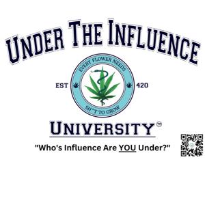 Under The Influence University- The Making of a  TV Comedy
