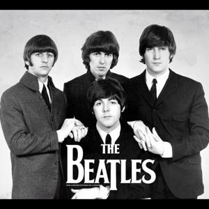 Proyecto Beatle