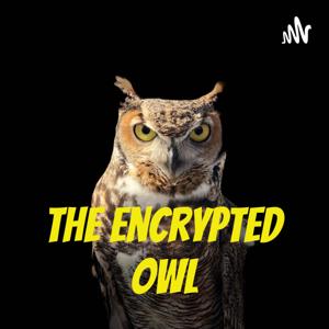 The Encrypted Owl