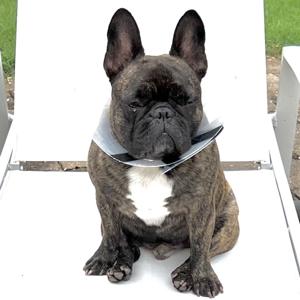 Libsyn - Test Account