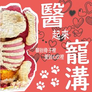 醫起來寵溝
