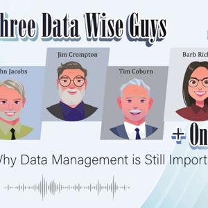 Three Data Wise Guys + One