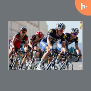 Zakłady bukmacherskie w Holandii dla polskich graczy