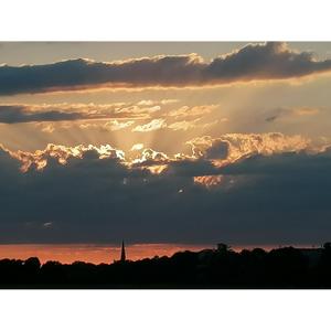 Der Künstler und die Musik