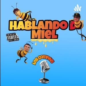 Hablando D’ Miel...