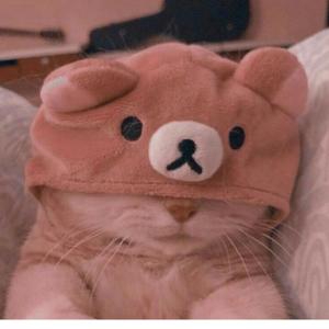 ~ Songs i wish were on Spotify ~