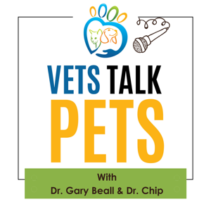 Vets Talk Pets