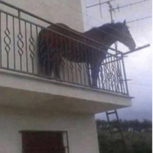 swedzieduralajt remix