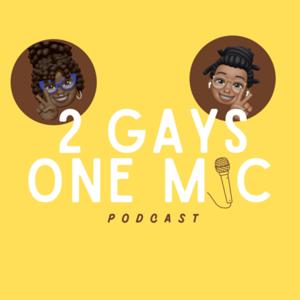 2 Gays one Mic