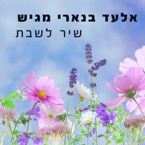 שיר לשבת עם אלעד בנארי