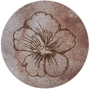 内在之光thelightwithin