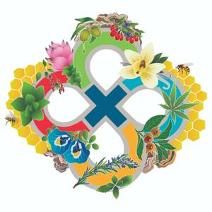 Crucial FOUR podcast