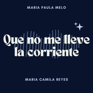 Que no me lleve la corriente