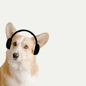 HappyPuppy Times With Viaan