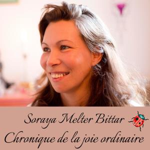 Chronique de la joie ordinaire