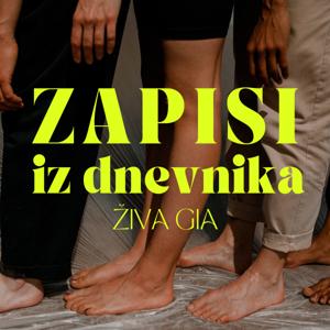 Zapisi iz dnevnika