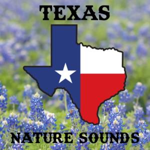 Texas Nature Sounds