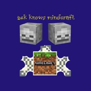 Zek Knows Minecraft