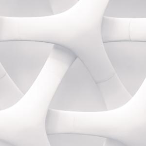 Podcast on companion care