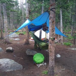 Juicy Trails and Ratchet Tales