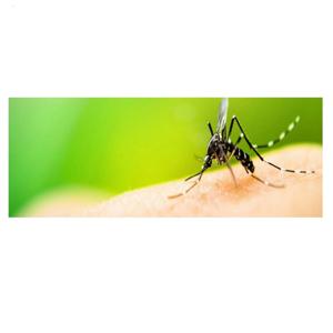 Mosquito Control Utah