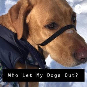 Who Let My Dogs Out?