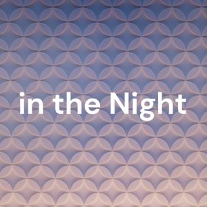 いざない in the Night