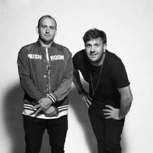 FESTA BROS aka ANHAUSER