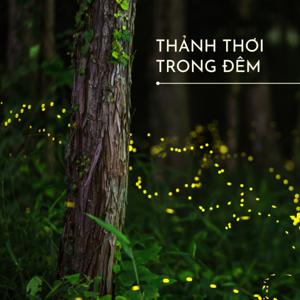 Thảnh Thơi Trong Đêm
