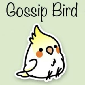 The Gossip Bird