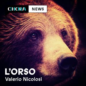 L'orso