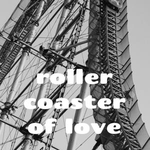 rollercoaster of love