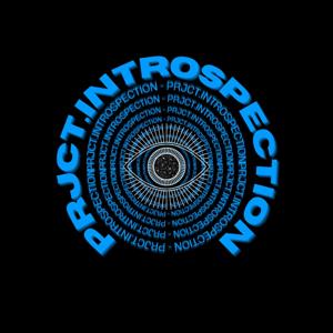 PRJCT. INTROSPECTION