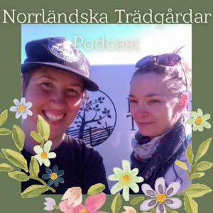 Norrländska trädgårdar