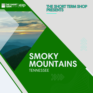 Buying an Airbnb in The Smoky Mountains of Tennessee
