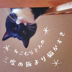 ねこむらさんの三度の飯より猫がすき
