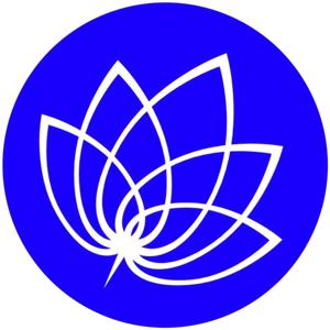 Advances in Homeopathy by Allen College of Homoeopathy
