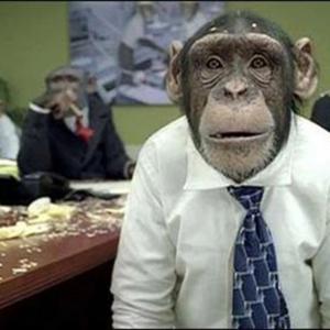 Monkeys in a Barrel