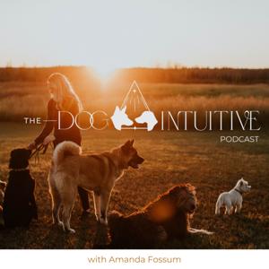 The Dog Intuitive Podcast - Giving Your Dog a Voice Using Dog Psychology and Magic