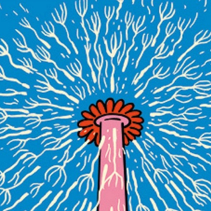 Hirondelles Et Décibels