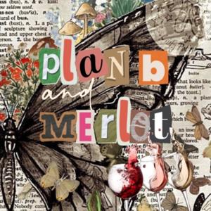 Plan B and Merlot | By The Merlot Heaux
