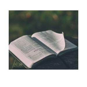 The Vincennes Voice Podcast