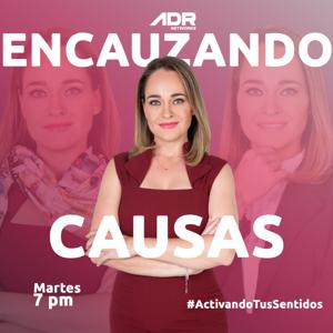 ENCAUZANDO CAUSAS